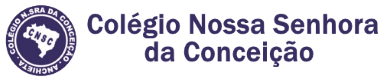 Colégio Nossa Senhora da Conceição ANCHIETA RIO DE JANEIRO RJ Logotipo